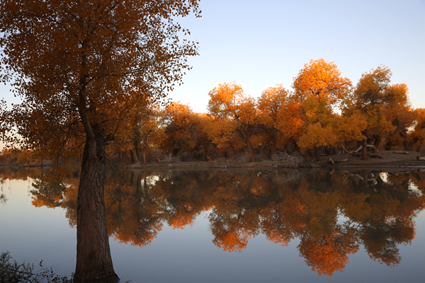 倒影�? /></a><br><a href=