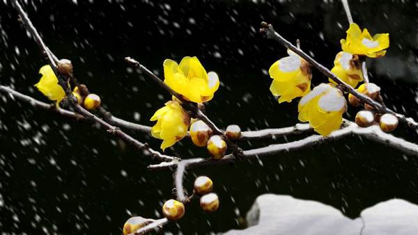 �? /></a><br><a href=